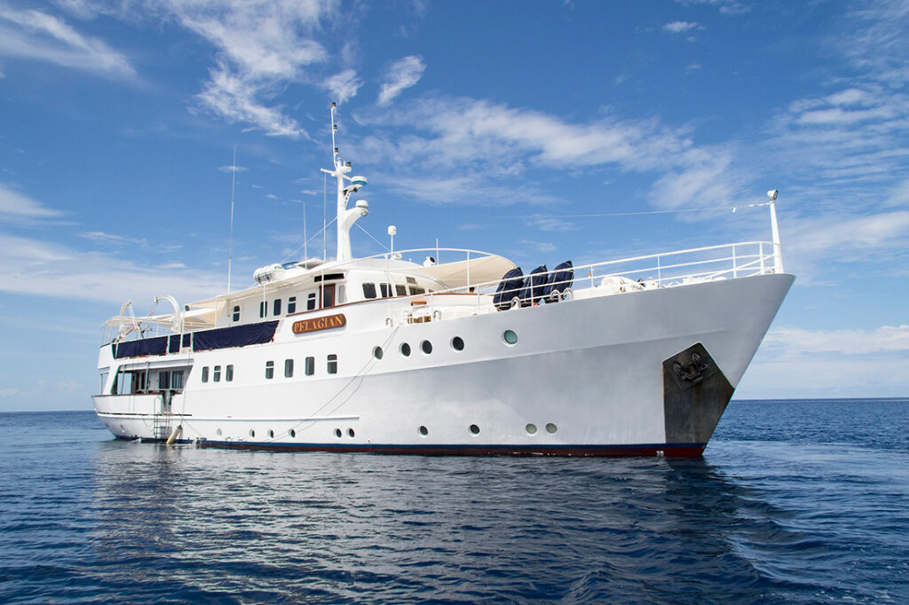 Pelagian Dive Yacht